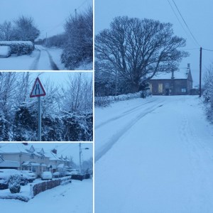 img_20190201_0823085b15d